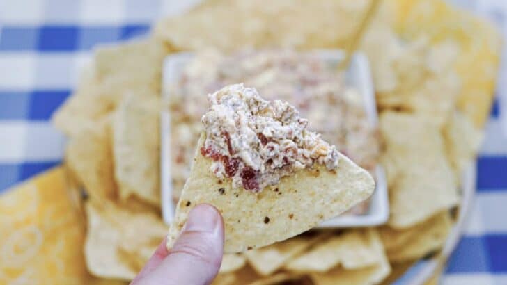 3 Ingredient Rotel Sausage Dip Recipe