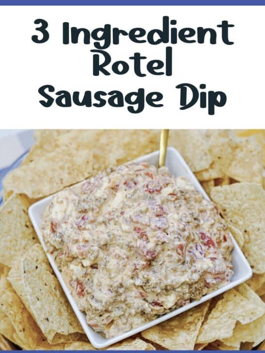 3 Ingredient Rotel Sausage Dip Recipe