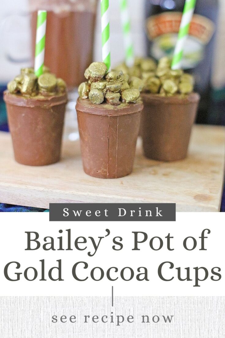 Sweet and Luscious Bailey’s Pot of Gold Cocoa Cups