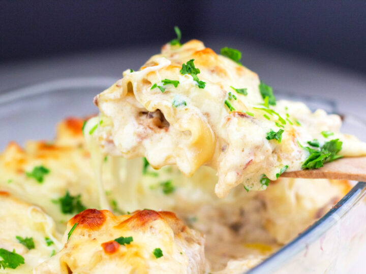 Chicken and Bacon Alfredo Roll-Ups