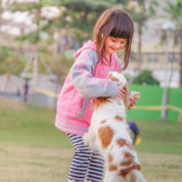 little girl playing with dog