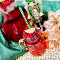 Christmas Punch