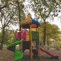 Colorful slides and structures surrounded by lush trees in an outdoor park during fall.