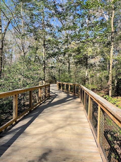 A wooden boardwalk leads through a forested area with railings on either side and sunlight filtering through the trees, offering one of the best hikes in Congaree National Park.