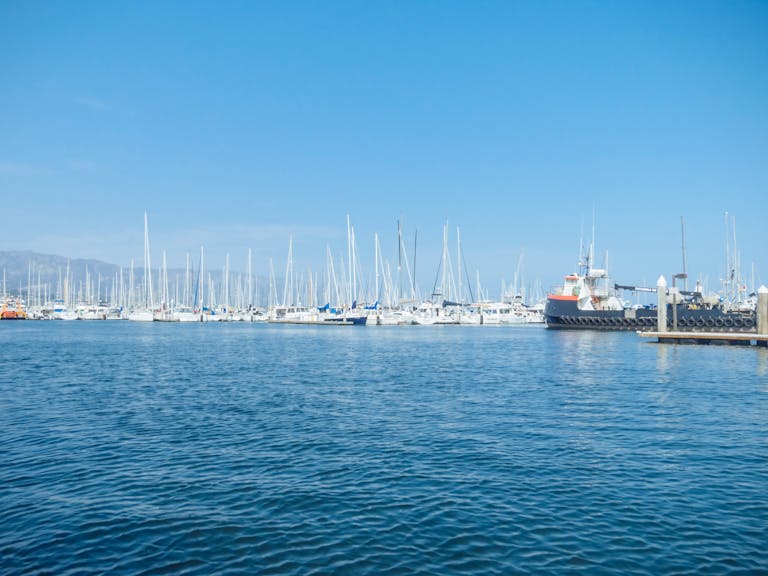 Explore the beautiful marina in Santa Barbara with numerous yachts docked under clear blue skies. Santa Barbara