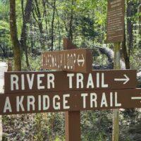 Wooden trail signs in a forest marking directions for River Trail, Akridge Trail, and Blackhawk Loop in Congaree National Park. Additional informational signs are shown in the background, guiding hikers through some of the best South Carolina hiking trails.