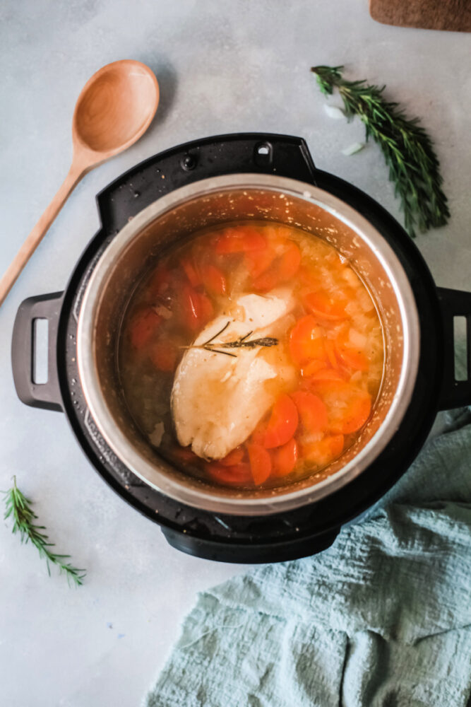 Instant pot chicken