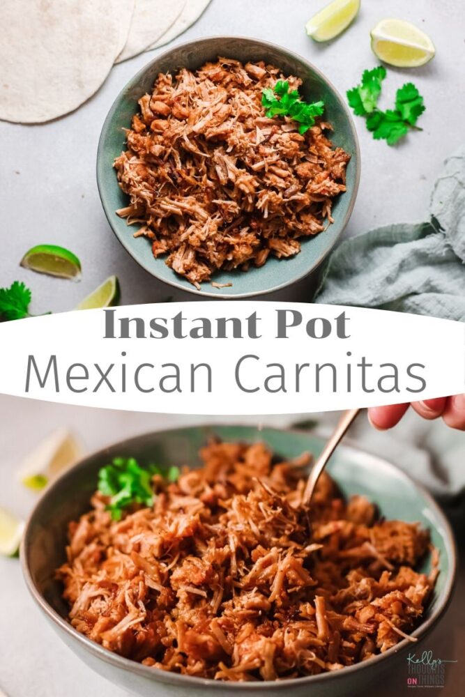 Instant Pot Mexican Carnitas in a bowl on a table