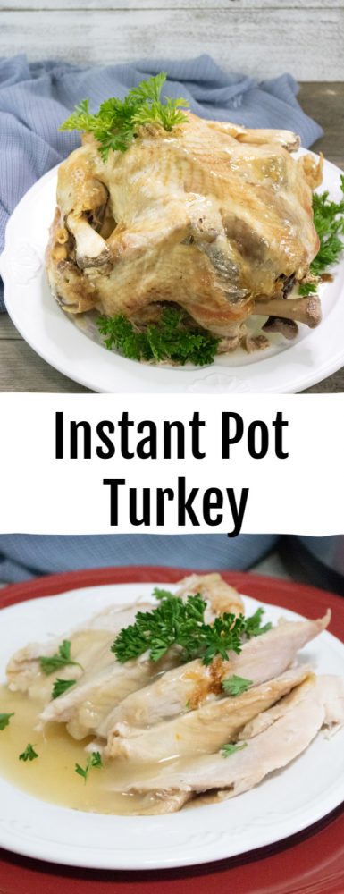 Instant Pot Turkey Recipe