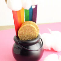 Pot of Gold Rainbow Craft (Dollar Tree Craft)