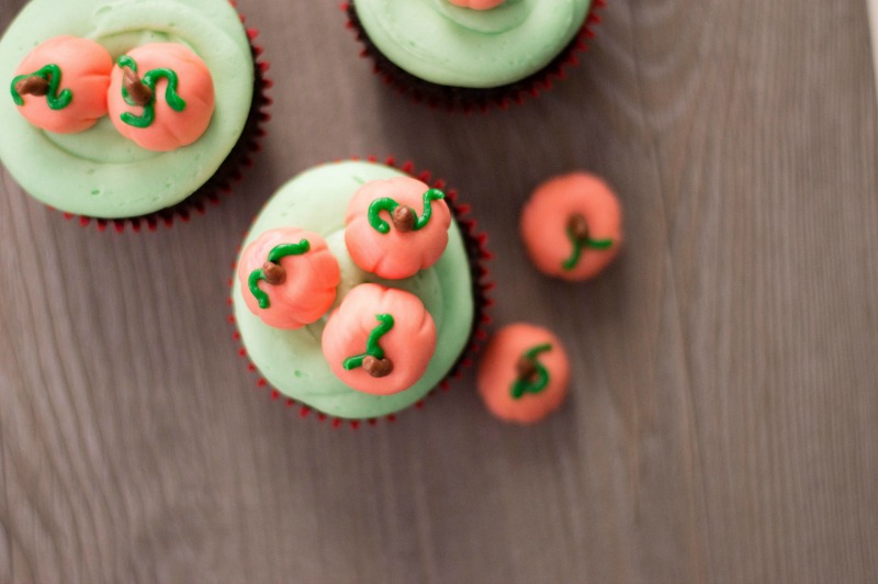 Pumpkin Patch Chocolate Cupcakes Recipes