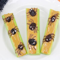 Spider Celery Recipe