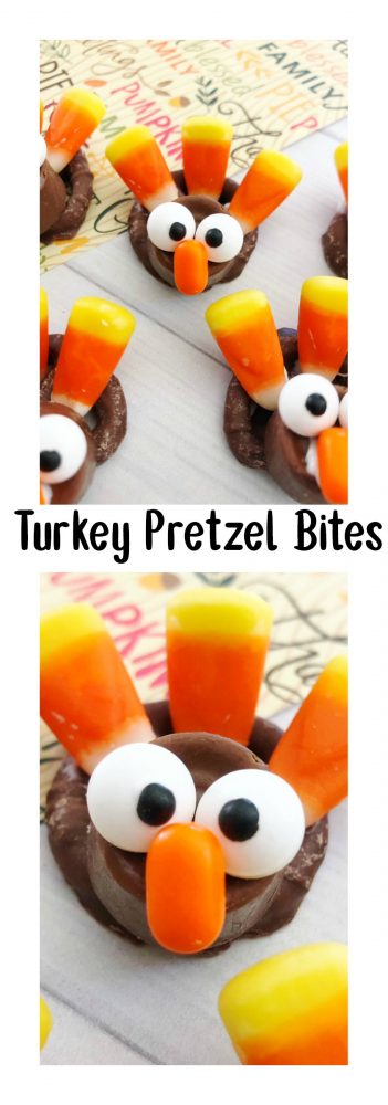 Turkey Pretzel Bites Recipe