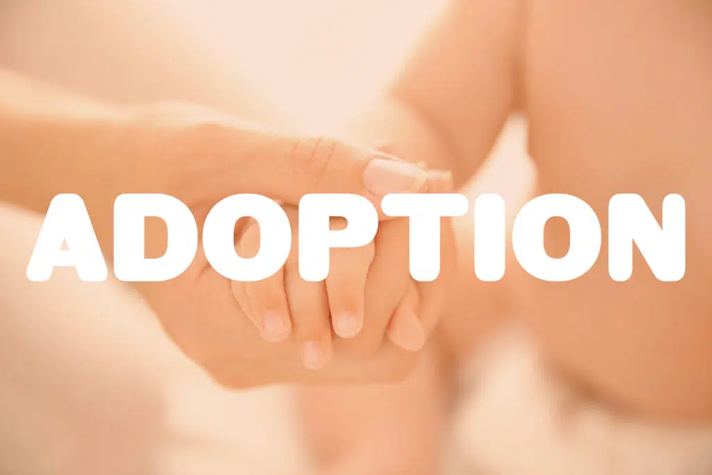 Trust Yourself on the Adoption Journey 