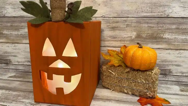 Dollar Store Canvas Jack-O-Lantern Craft