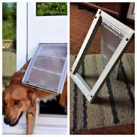 Give Your Pets The Freedom To Come And Go As They Please With Endura Flap