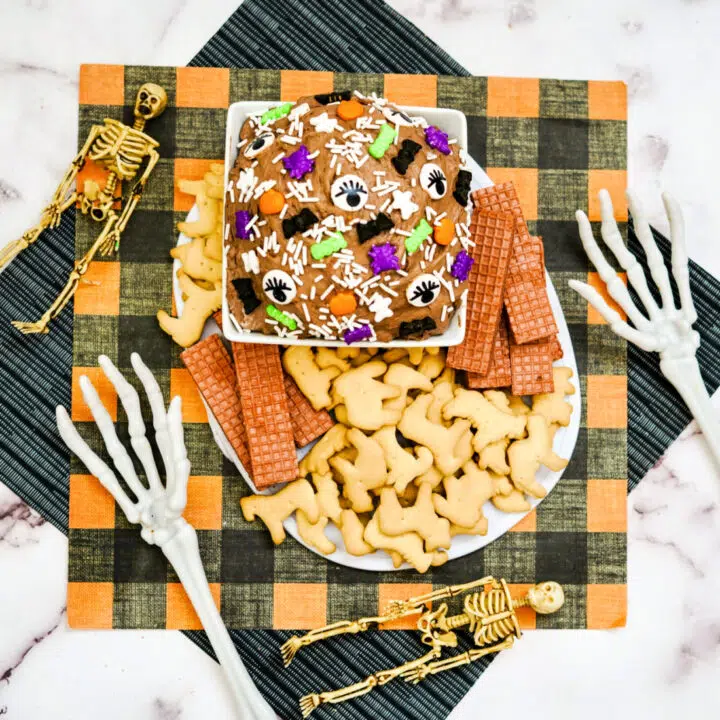 dip in bowl with crackers