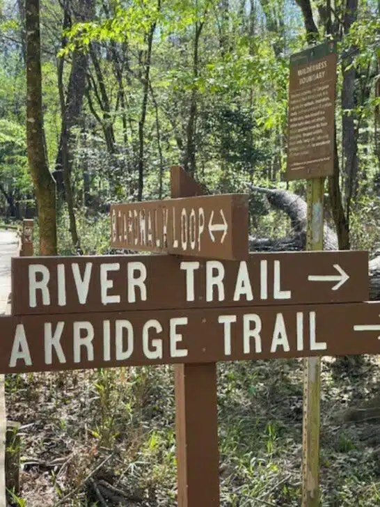 Wooden trail signs in a forest marking directions for River Trail, Akridge Trail, and Blackhawk Loop in Congaree National Park. Additional informational signs are shown in the background, guiding hikers through some of the best South Carolina hiking trails.