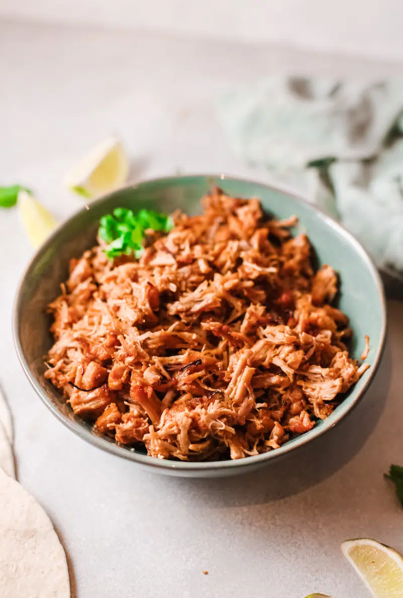 carnita in a blue bowl