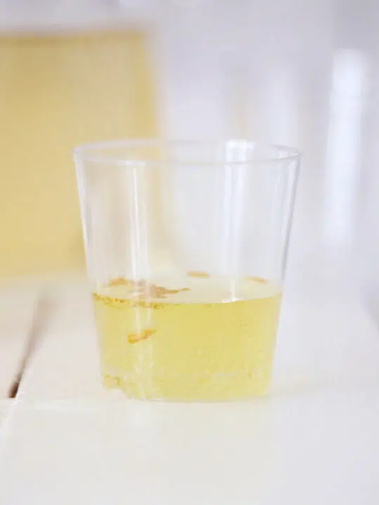 New Year’s Eve Champagne Jello Shots Recipe