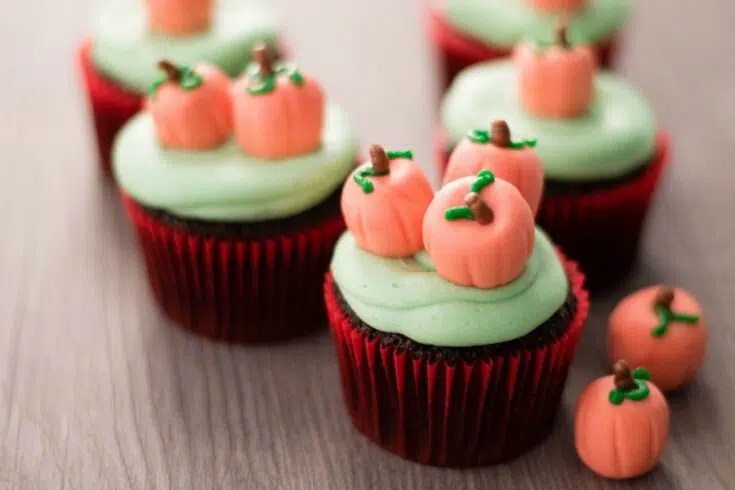 Pumpkin Patch Chocolate Cupcakes Recipes