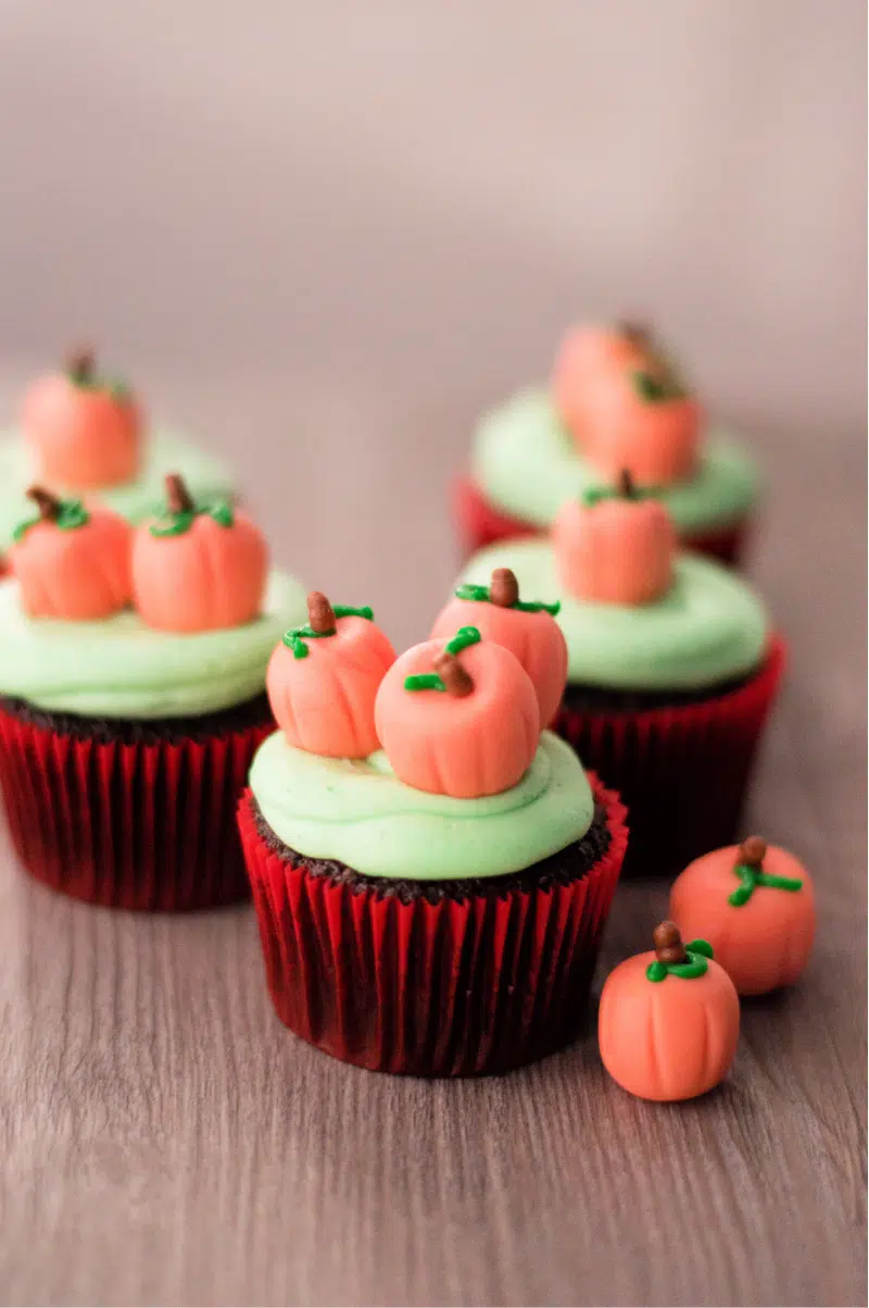 Pumpkin Patch Chocolate Cupcakes