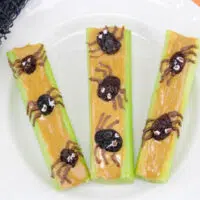 Spider Celery Recipe