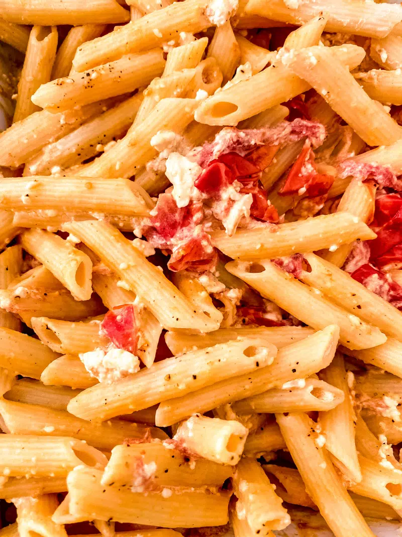 pasta close up